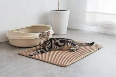 Cat little mat 