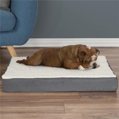 sofá-cama de cachorro