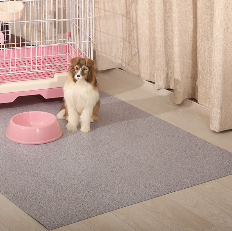 Pets And Rugs